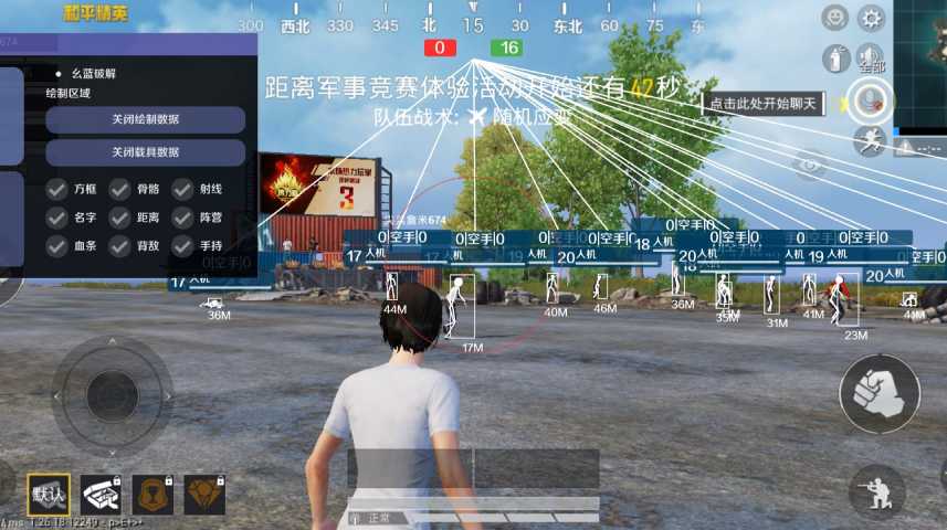 和平精英《火锅》辅助
